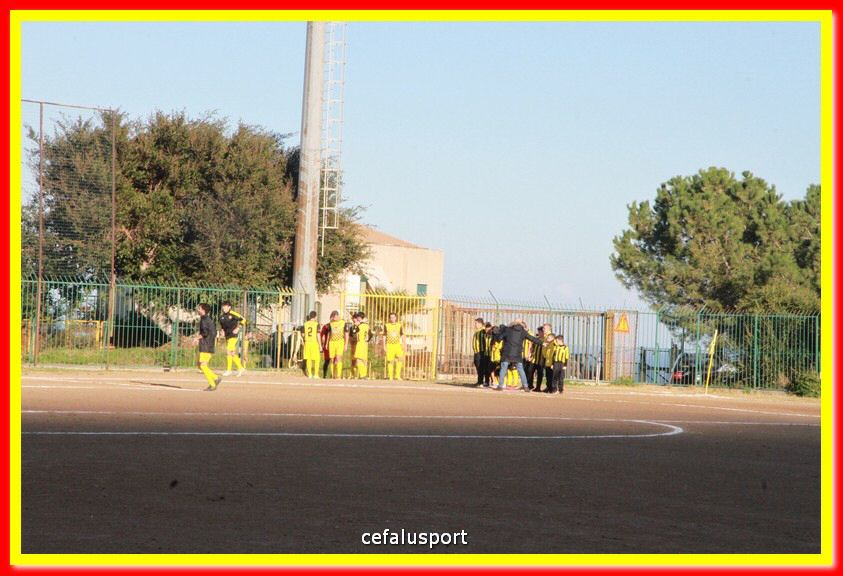 200105 Cepha_Alcamo 023.jpg